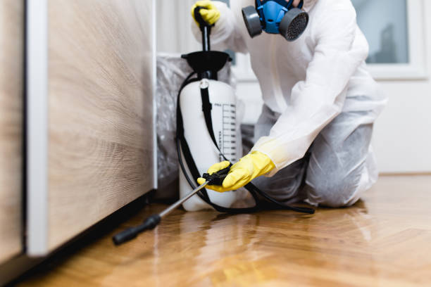 Best Rat Extermination Near Me  in Bedford, TX