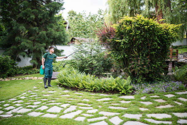 Best Wasp Removal Services  in Bedford, TX