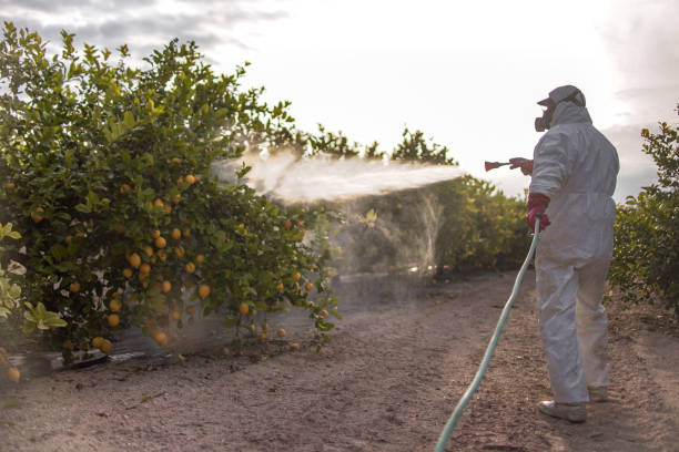 Best Pest Control Near Me in Bedford, TX