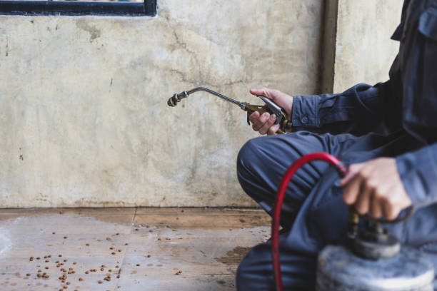 Best Residential Pest Control  in Bedford, TX