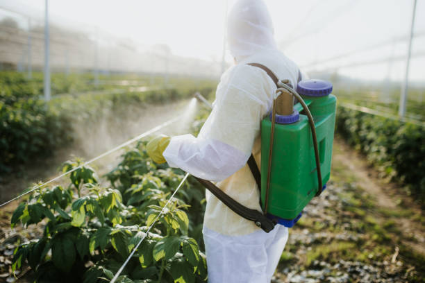 Best Bed Bug Extermination  in Bedford, TX